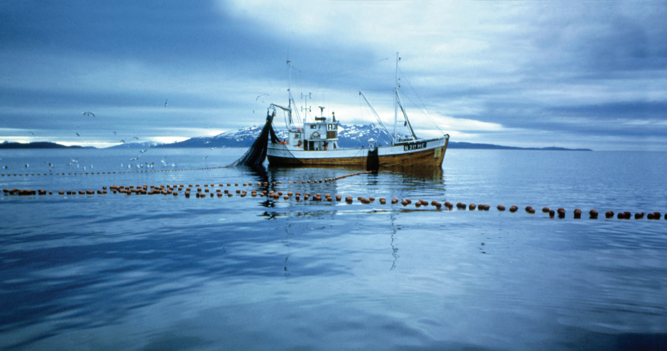 Fiskebåt