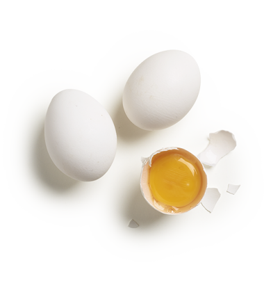 Egg