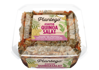 Plantego Quinoasalat