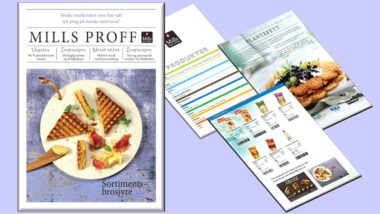Mills Proff Partner Produktkatalogen illustrasjonsfoto